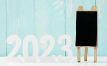 2023年公司半年总结模板7篇