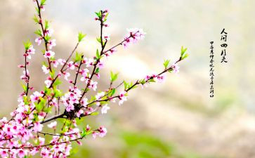 过春节的教案优秀5篇