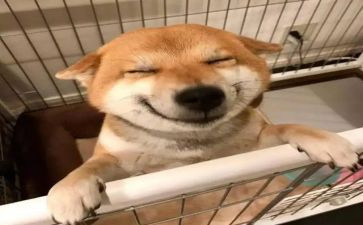 快乐61作文300字优质5篇