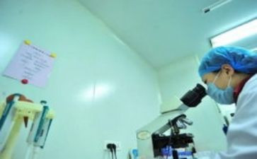 2024银行柜员个人工作总结参考6篇