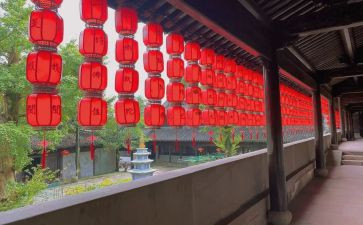 雨三年级作文300字优质8篇