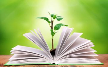 2024年责任督学工作总结6篇