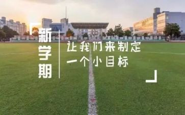 教师一学期的自我总结6篇